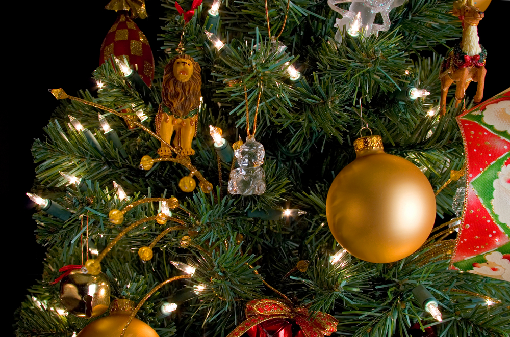 Crediton Christmas Tree Festival The Exeter Daily